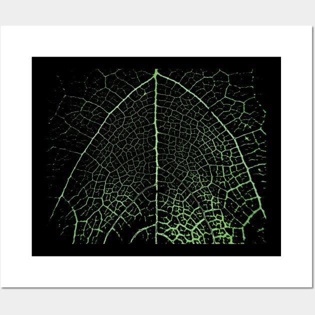 Leaf Veins- Nature Art Pattern Wall Art by Nikokosmos